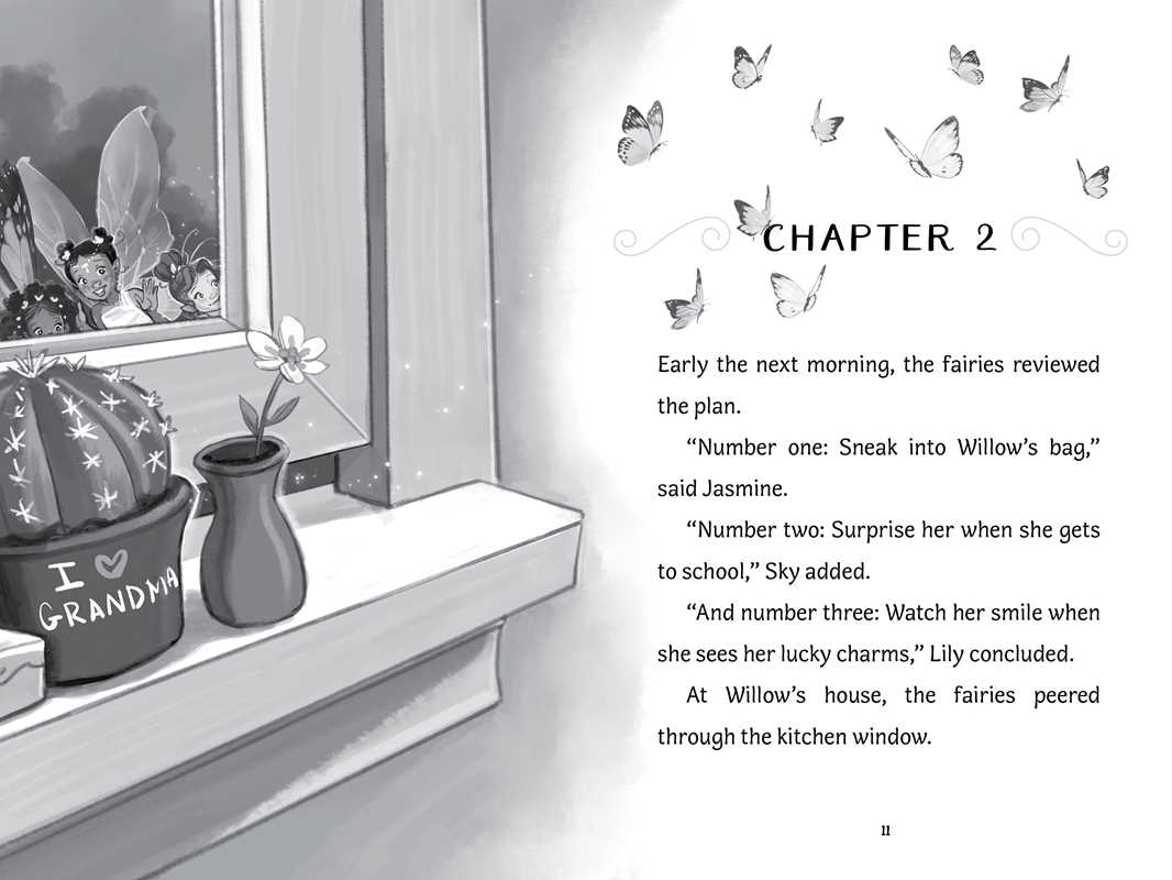 Surprise for Willow by Bea Jackson: Hardcover; 64 pages / English