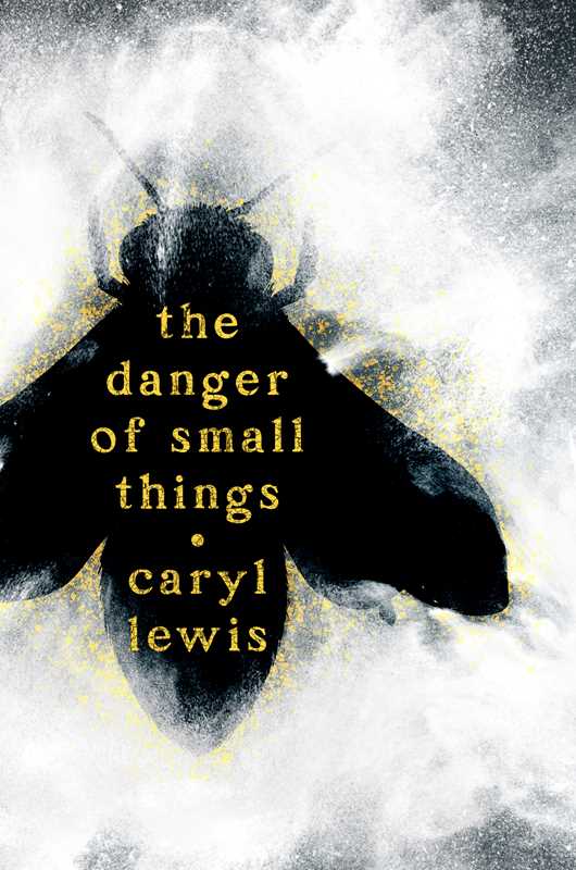 Danger of Small Things by Caryl Lewis: Hardcover; 272 pages / English