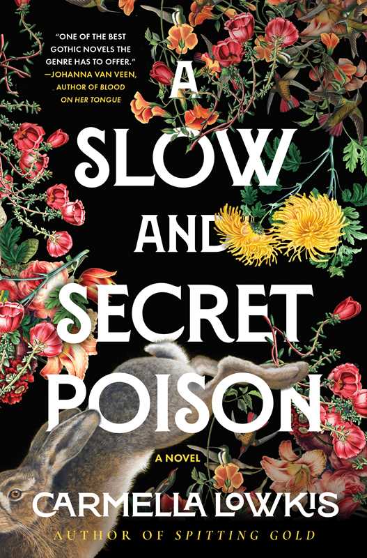 Slow and Secret Poison by Carmella Lowkis: Hardcover; 288 pages / English