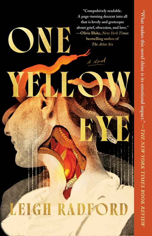 One Yellow Eye by Leigh Radford: Paperback; 352 pages / English