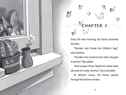 Surprise for Willow by Bea Jackson: Hardcover; 64 pages / English