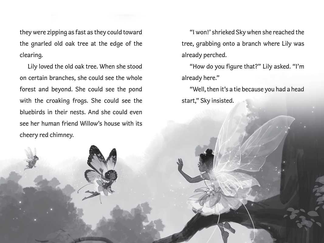 Surprise for Willow by Bea Jackson: Hardcover; 64 pages / English