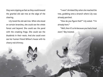 Surprise for Willow by Bea Jackson: Hardcover; 64 pages / English