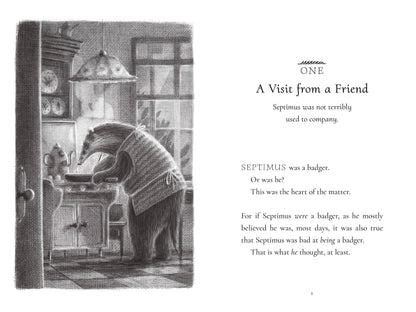 Bad Badger: A Love Story: Trade Paperback