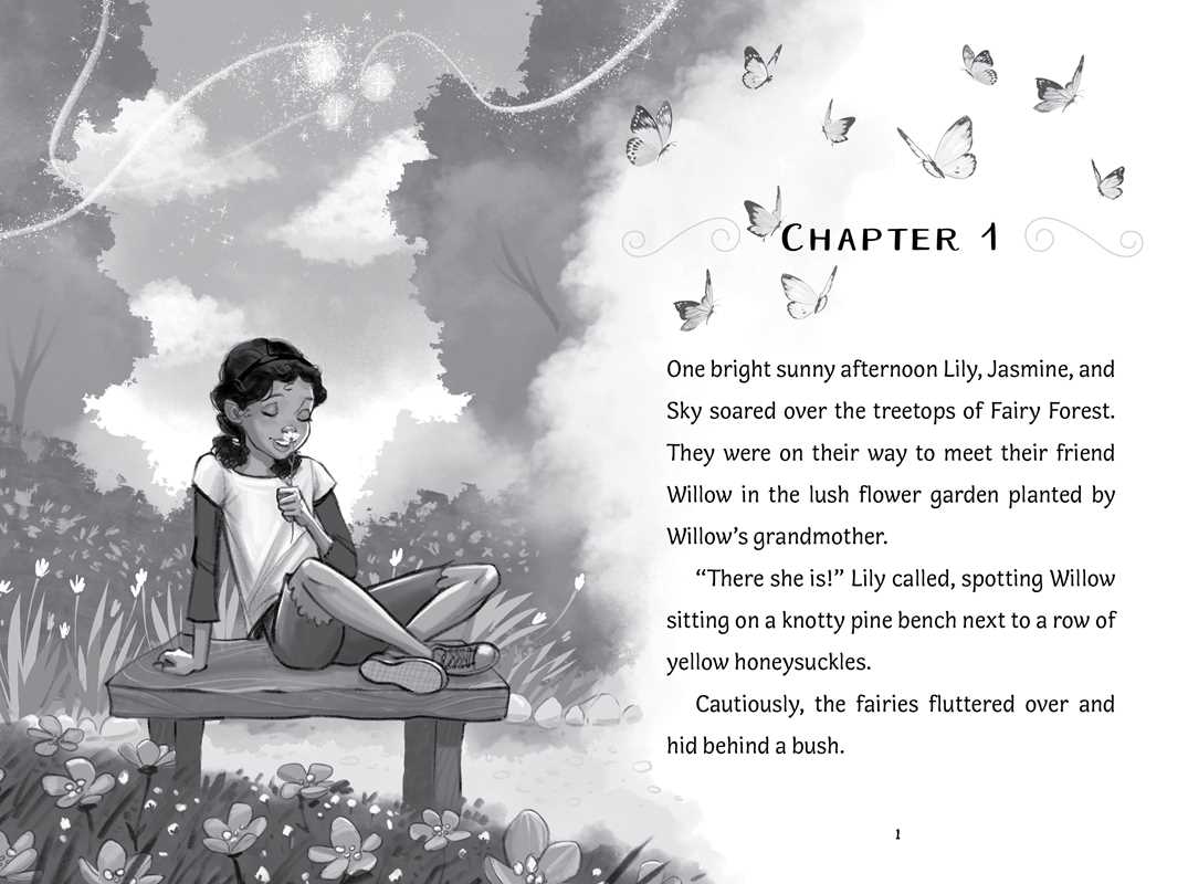 Wish for Lily by Bea Jackson: Paperback; 64 pages / English