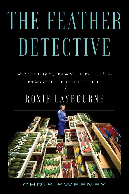 Feather Detective by Chris Sweeney: Hardcover; 320 pages / English
