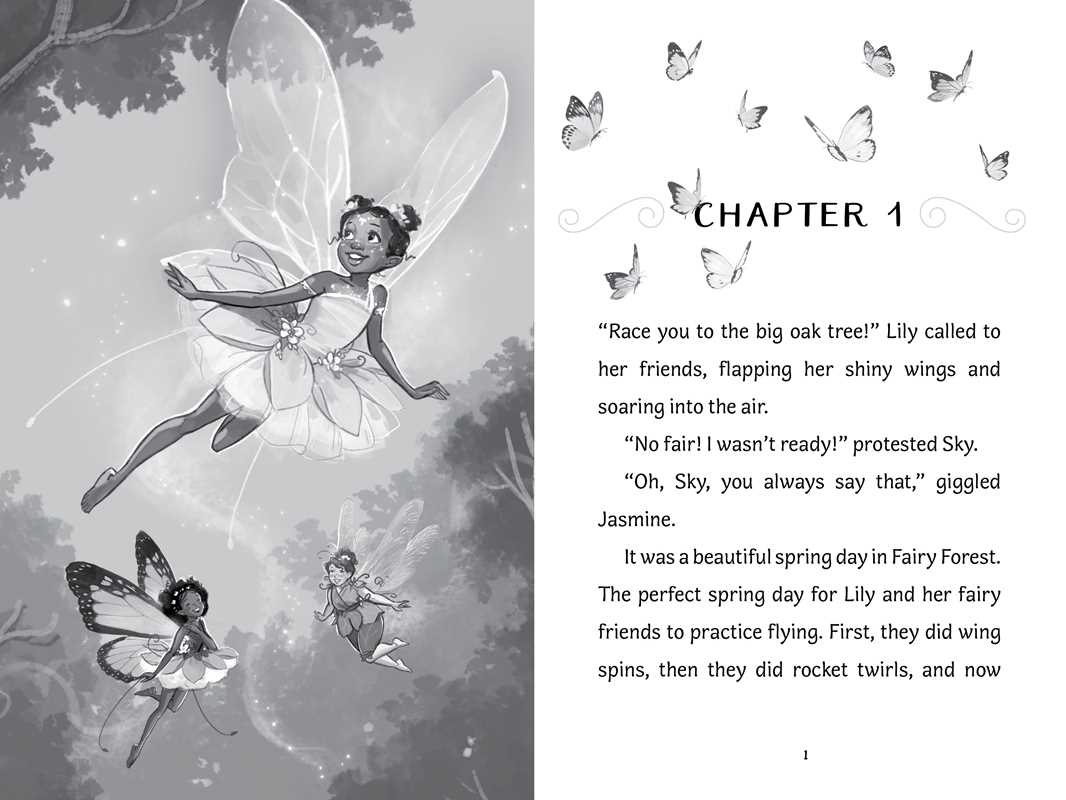 Surprise for Willow by Bea Jackson: Hardcover; 64 pages / English