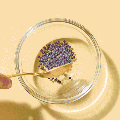 Galactic Journey - Medium Potion Kit