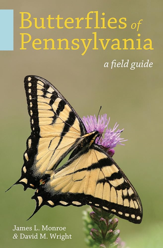 Butterflies of Pennsylvania: A Field Guide cover image